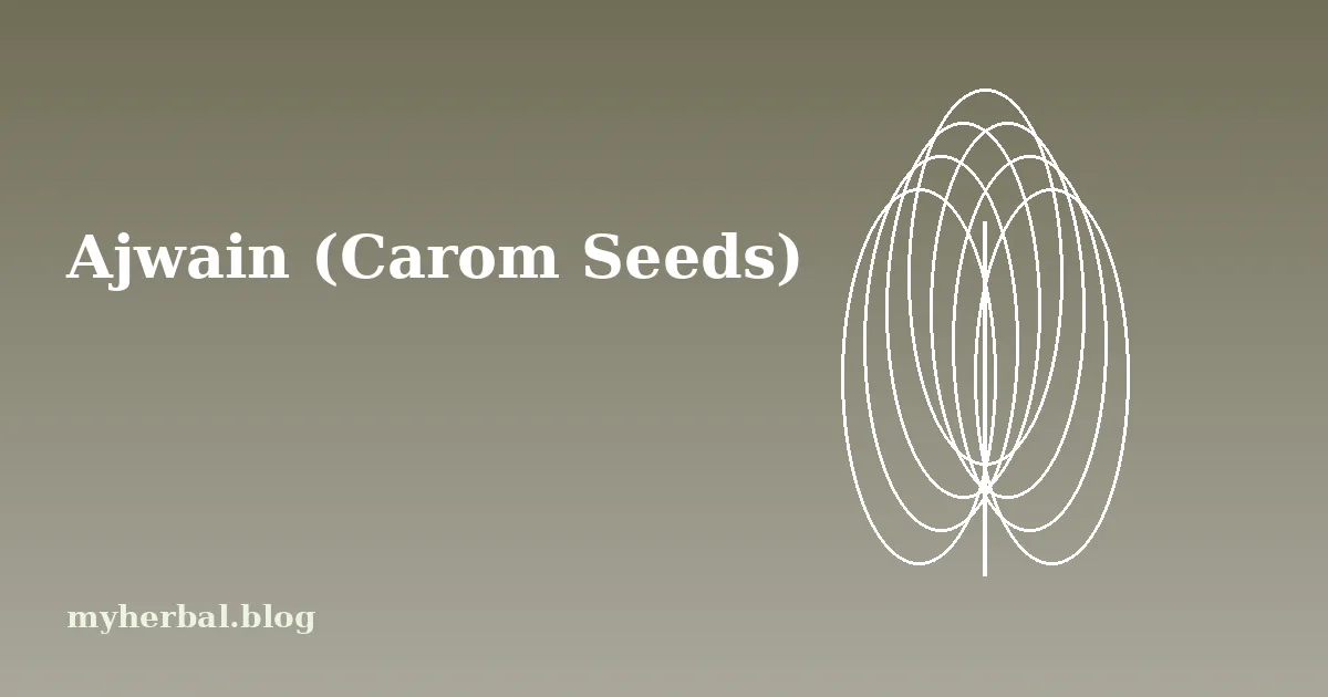 Ajwain (Carom Seeds): Benefits and Uses