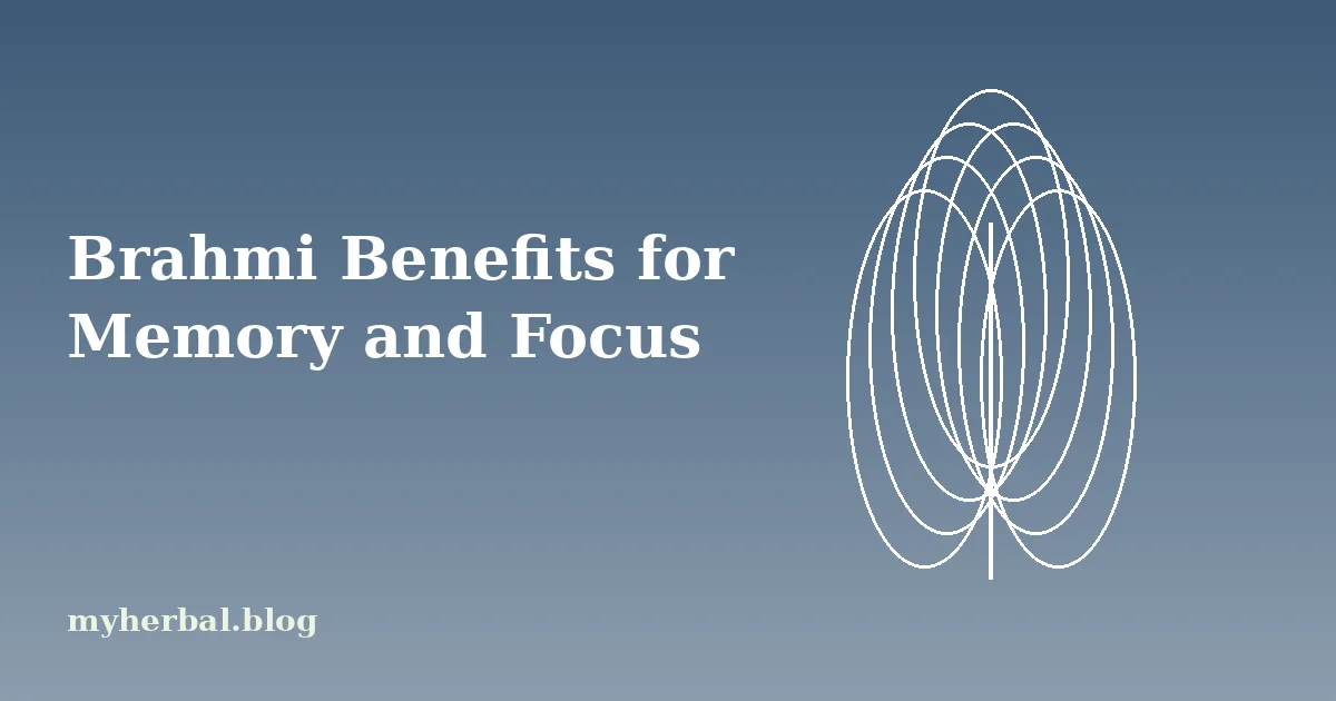Brahmi Benefits for Memory and Focus