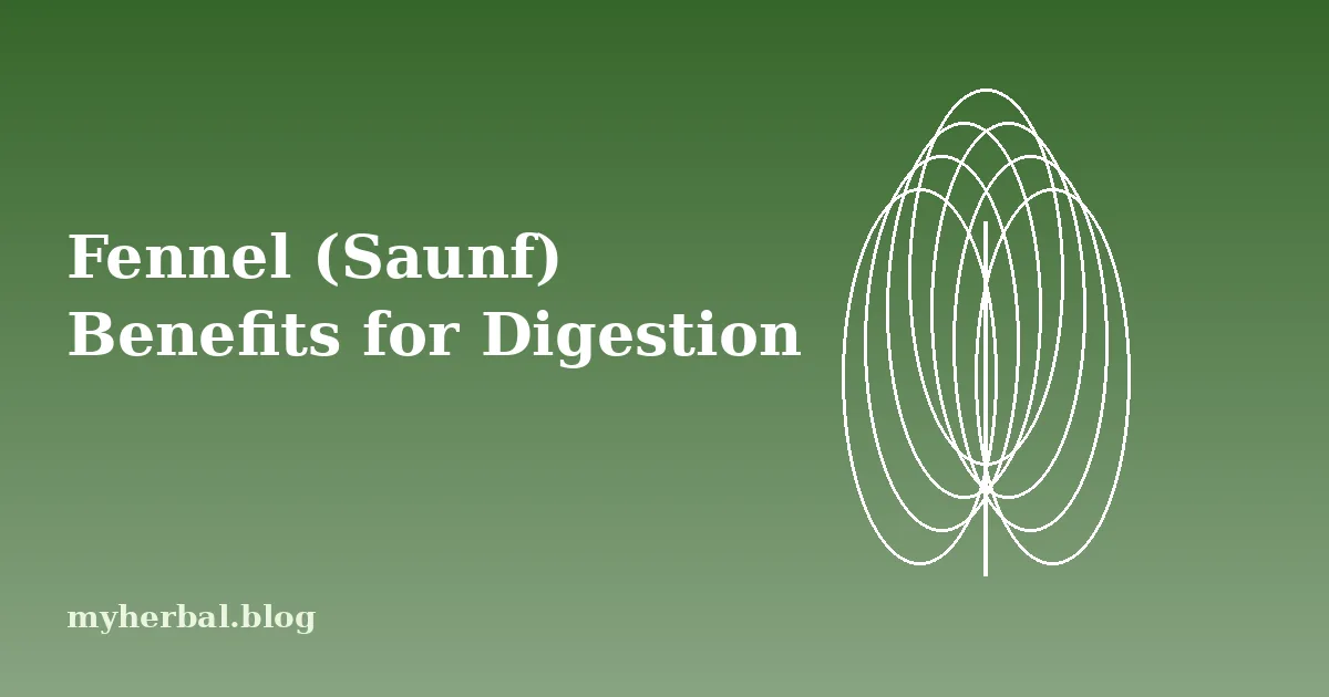 Fennel (Saunf) Benefits for Digestion