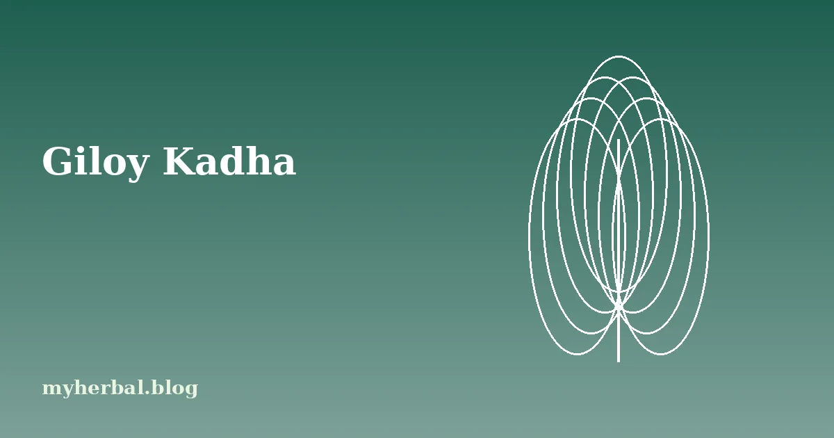 Giloy Kadha: Benefits, Preparation and Precautions
