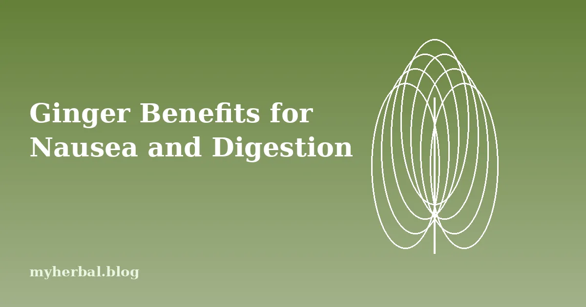 Ginger Benefits for Nausea and Digestion