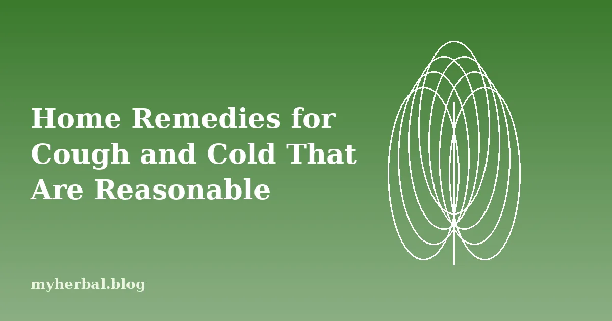 Home Remedies for Cough and Cold That Are Reasonable