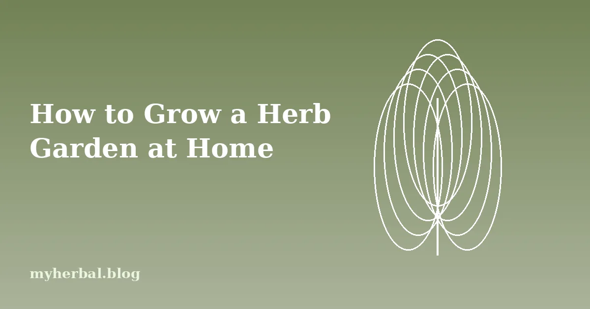 How to Grow a Herb Garden at Home