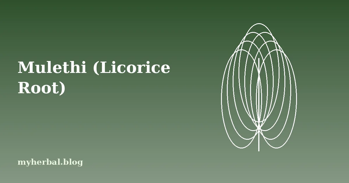 Mulethi (Licorice Root): Benefits, Uses and Risks