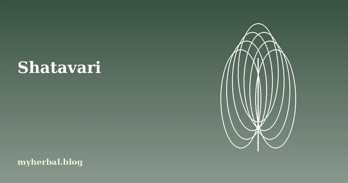 Shatavari: Traditional Uses and What Research Says