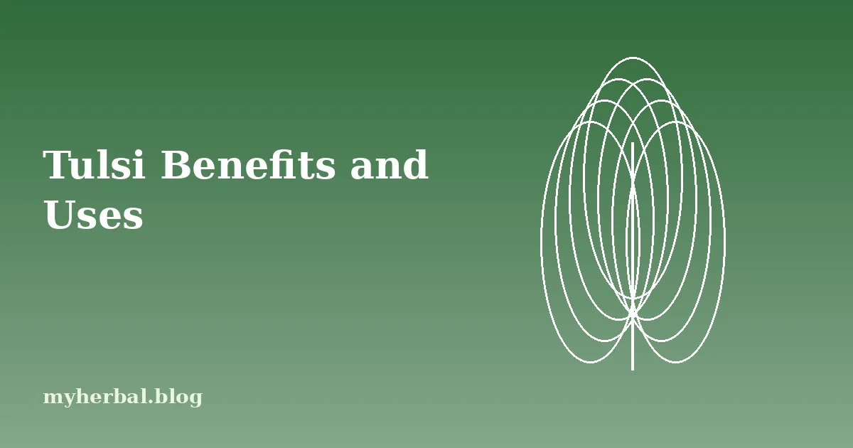 Tulsi Benefits and Uses: A Practical Guide to Holy Basil